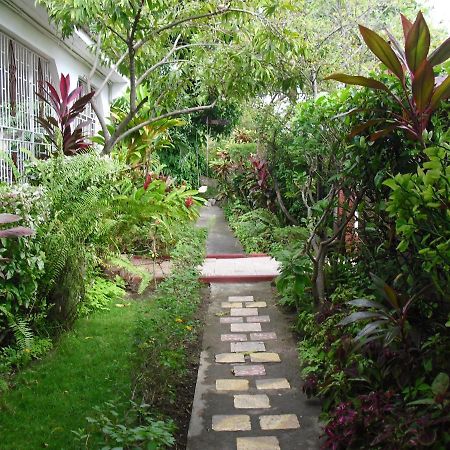 15 Min From The Airport In Kingston Jamaica Apartment Exterior photo